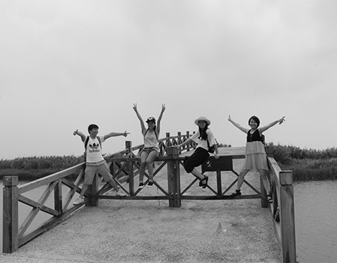 杭州湾湿地公园团体游玩